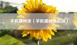 手机膜种类（手机膜种类区别）