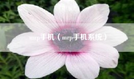 mrp手机（mrp手机系统）