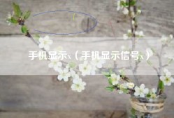 手机显示x（手机显示信号x）
