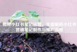 揭秘小红书笔记运营，全面解析小红书营销笔记制作与推广流程