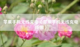 苹果手机无线充电（苹果手机无线充电线圈）