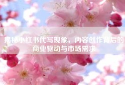 揭秘小红书代写现象，内容创作背后的商业驱动与市场需求