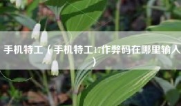 手机特工（手机特工17作弊码在哪里输入）