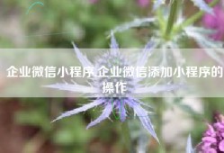 企业微信小程序,企业微信添加小程序的操作