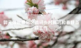 郭元强赴蔡甸区调研乡村振兴和春耕备耕工作