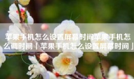 苹果手机怎么设置屏幕时间苹果手机怎么调时间「苹果手机怎么设置屏幕时间」