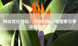 网址优化网站：让你的网站在搜索引擎中脱颖而出
