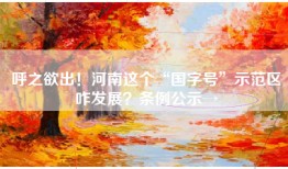 呼之欲出！河南这个“国字号”示范区咋发展？条例公示→