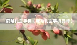 鹿晗代言手机（鹿晗代言手机品牌）