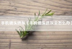 手机镜头进灰（手机镜头进灰尘怎么办）