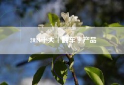 2021十大「翻车」产品