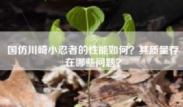 国仿川崎小忍者的性能如何？其质量存在哪些问题？