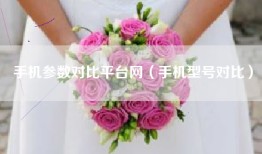 手机参数对比平台网（手机型号对比）