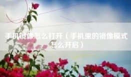 手机镜像怎么打开（手机里的镜像模式怎么开启）