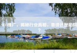 SEO推广，揭秘行业真相，靠谱还是陷阱？