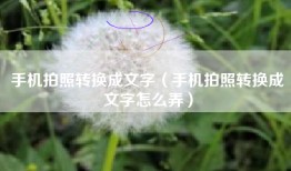 手机拍照转换成文字（手机拍照转换成文字怎么弄）