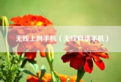 无线上网手机（无线网络手机）