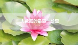大数据的最后一公里