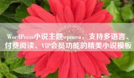 WordPress小说主题wpnovo，支持多语言、付费阅读、VIP会员功能的精美小说模板