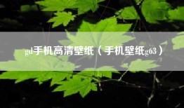 gd手机高清壁纸（手机壁纸g63）