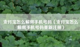 支付宝怎么解绑手机号码（支付宝怎么解绑手机号码重新注册）