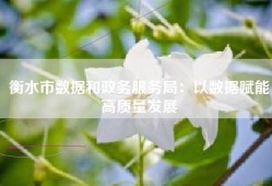 衡水市数据和政务服务局：以数据赋能高质量发展