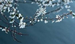 爱真智能马桶盖拆卸全国各售后号码《今日汇总》
