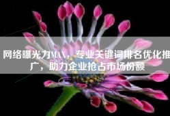 网络曝光力MAX，专业关键词排名优化推广，助力企业抢占市场份额