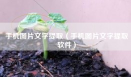 手机图片文字提取（手机图片文字提取软件）