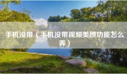 手机没带（手机没带视频美颜功能怎么弄）