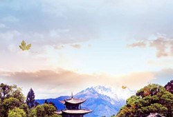 婚姻生活很累很压抑：现代婚姻的挑战与应对之策