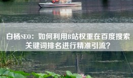 白杨SEO：如何利用B站权重在百度搜索关键词排名进行精准引流？