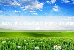 廊坊：物流业深度融合 区域经济加速增长