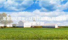 常德网站优化，让你的品牌在网络世界中屹立不倒