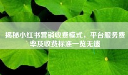 揭秘小红书营销收费模式，平台服务费率及收费标准一览无遗