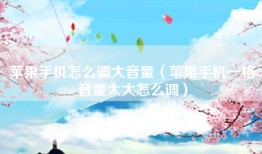 苹果手机怎么调大音量（苹果手机一格音量太大怎么调）