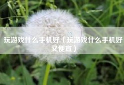 玩游戏什么手机好（玩游戏什么手机好又便宜）
