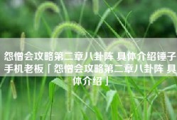 怨憎会攻略第二章八卦阵 具体介绍锤子手机老板「怨憎会攻略第二章八卦阵 具体介绍」