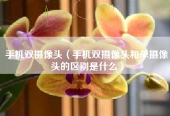 手机双摄像头（手机双摄像头和单摄像头的区别是什么）