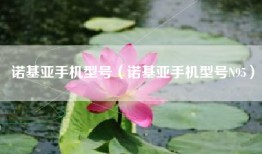 诺基亚手机型号（诺基亚手机型号N95）