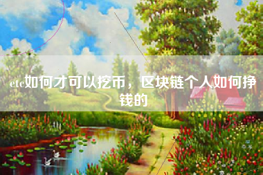 etc如何才可以挖币，区块链个人如何挣钱的