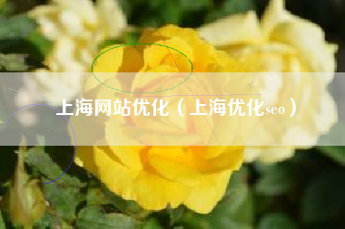上海网站优化（上海优化seo）