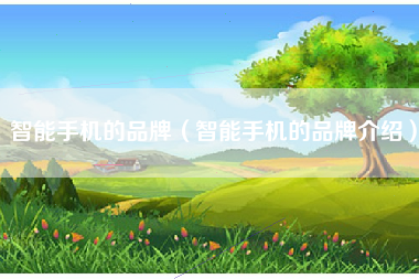 智能手机的品牌（智能手机的品牌介绍）