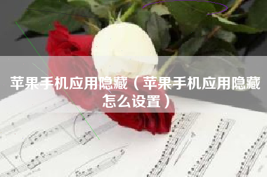 苹果手机应用隐藏（苹果手机应用隐藏怎么设置）