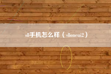 s8手机怎么样（s8oneui2）