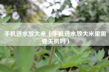 手机进水放大米（手机进水放大米里需要关机吗）
