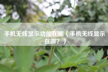 手机无线显示功能在哪（手机无线显示在哪？）