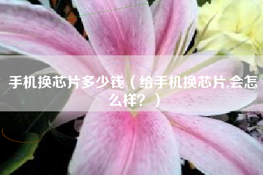 手机换芯片多少钱（给手机换芯片,会怎么样？）