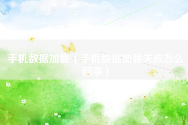 手机数据加载（手机数据加载失败怎么回事）