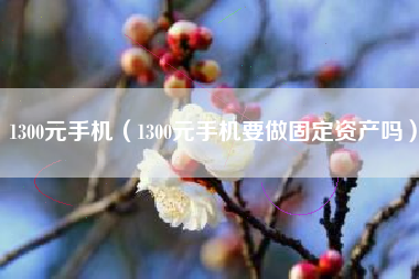 1300元手机（1300元手机要做固定资产吗）